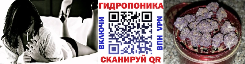 OMG tor  хочу наркоту  Горно-Алтайск  МАРИХУАНА THC 21% 